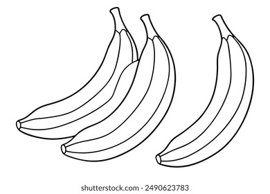 Plantains Line Art Design Illustration Black White Drawing