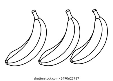 Plantains Line Art Design Illustration