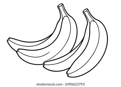 Plantains Line Art Illustration Drawing