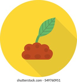 Plantation