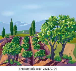 Plantation, bushes