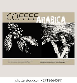 Plantación de cultivo de café. Ramita retro de contorno de Vector, baya madura. Cosecha orgánica. Croquis del grabado del arte para el diseño de la bebida, paquete de la comida. Fondo botánico de la Naturaleza