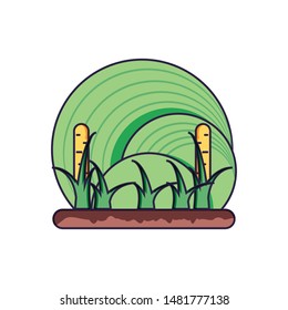 plantation corn natural isolated icon