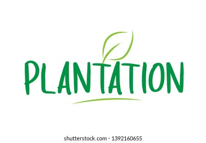 plantation green word text with leaf suitable for icon, badge or typography logo design