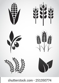 Plantation icon set. Vector illustration.