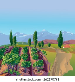 Plantation, mountains in the background