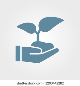 Plantation, startup Icon