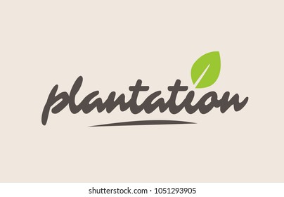 plantation word or text with green leaf. Handwritten lettering suitable for label, logo, badge, sticker or icon