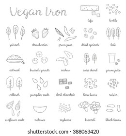 Plant-based iron. Hand drawn outline vegan products. Strawberry, oatmeal, dried apricot, cashew, kale, swiss chard, molasses, prune juice, broccoli, chocolate, spinach, soybean, lima bean, raisin.