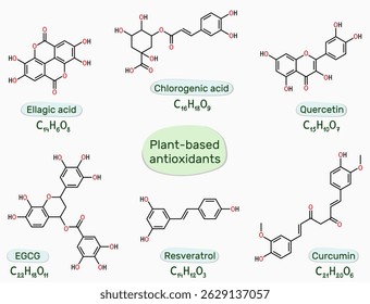 Plant-based natural antioxidants molecule of ellagic, chlorogenic acid, epigallocatechin gallate (EGCG), resveratrol, quercetin, curcumin