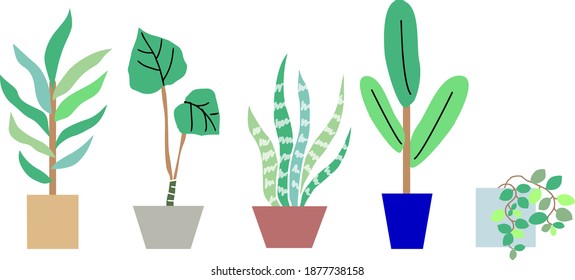 Plante simple flat vector illustration set