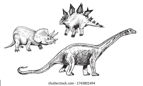 Plant-eating dinosaurs set: Triceratops, Stegosaurus, Diplodocus, hand drawn black and white doodle sketch, ink drawing illustration