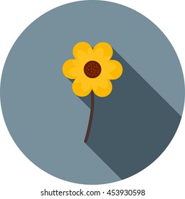 Planted Flower