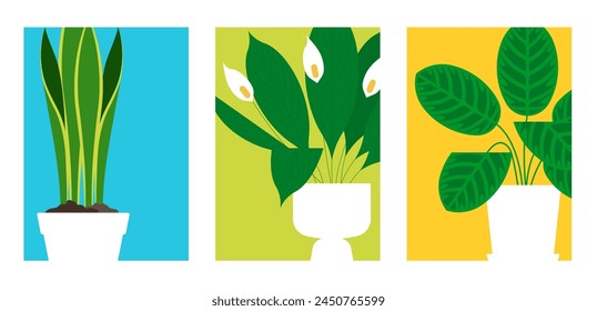 Planter houseplants backgrounds. Green leaves, lush, flower pots, vivid color, solid background. Minimalist flat vector illustrations. Urban jungle at home. Simple stylised background for poster