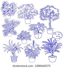 plantgroup,graphic,set
,collection
blue,drawing,decoration
,design,illustration,
 painting,background 