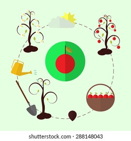Planting apple tree process flat background, vector. EPS 10 a layered.