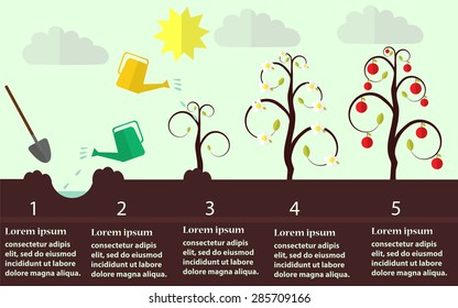 Planting apple trees process flat vector. EPS 10 a layered.