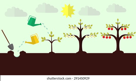 Planting apple trees process flat vector. EPS 10 a layered.