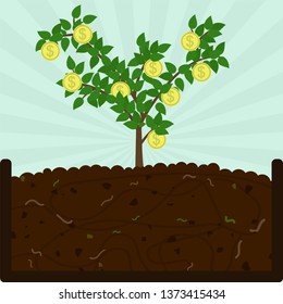 Planting coin tree and compost. Planting Planting coin tree . Composting process with organic matter, microorganisms and earthworms. Fallen leaves on the ground. Conceptual