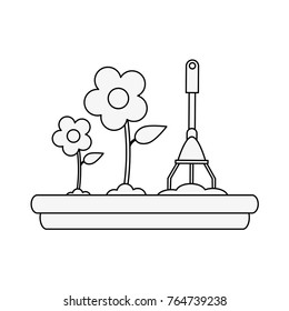 Planting of flowers