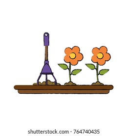 Planting of flowers