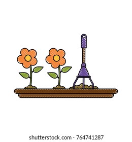 Planting of flowers