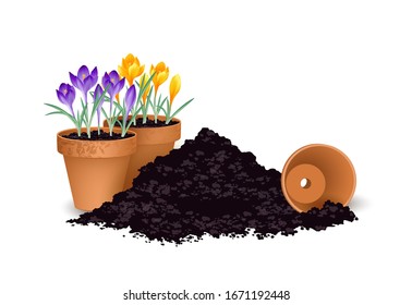 Planting flowers, planting season,
Terra cotta flower pots with crocuses and piles of earth,
Vector illustration isolated on white background
