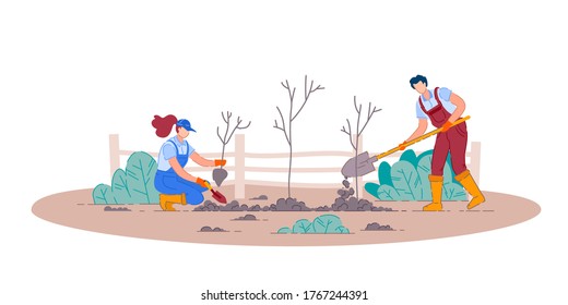 Planting fruit trees. Isolated man and woman gardener people cartoon characters holding shovels and planting fruit tree plants in garden. Vector gardening and agriculture