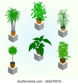 Planting of greenery for the isometric world interior. Set of few plants for room