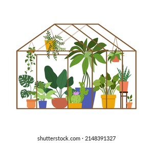 Planting greenhouse concept. Glass garden glass house, flowers and potted plants. Vector illustration of hobby gardening isolated on white background. Hanging Plants