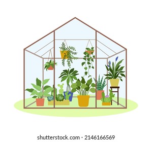 Planting greenhouse. Glass garden glass house, flowers and potted plants. Vector illustration of hobby gardening isolated on white . Plants hanging