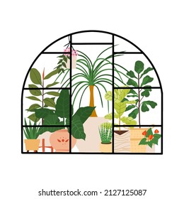 Planting greenhouse. Glass orangery, botanical garden greenhouse, flowers and potted plants home gardening illustration. Plants hanging on ropes, growing greenery in pots