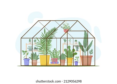 Planting greenhouse. Glass orangery, botanical garden greenhouse. Home garden, succulents, flowers, potted plants.  Plants hanging on ropes. For posters, banners, postcards. Vector illustration 