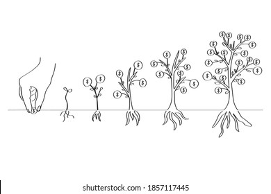 Planting and growing the money tree. Business stages. Line art