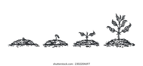 Planting and Growing Plants. Plant Stage Growth. Sequence Grow Sapling. Gradual Tree Growth in the Ground. Agriculture and Gardening Nature Concept. Black and White Vector illustration