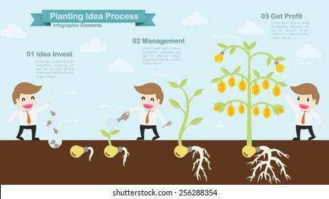 Planting idea process info graphic vector cartoon.