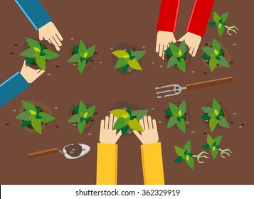 Planting illustration. Planting concept. Flat design illustration concepts for working, farming, harvesting, gardening, architectural, seeding, cultivate, go green. 
