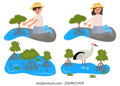 Planting mangrove trees in a mangrove forest and the surrounding ecosystem. isolated on a white background, vector illustration