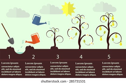 Planting pear tree process flat vector. EPS 10 a layered.