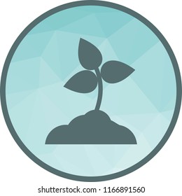 Planting, Plant, tree
