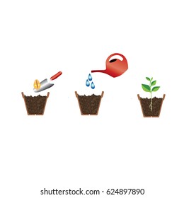 planting a pot of flowers