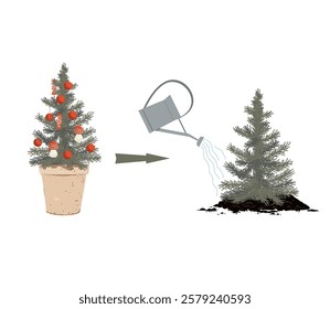 Planting potted Christmas tree. Eco aware concept. Vector isolated illustration