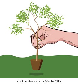 Planting sapling icon. Man's hand planting a tree. With green leaf and grass