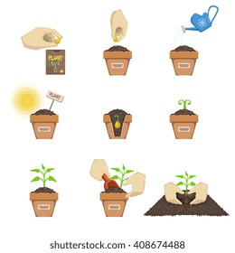 Planting Seed Sequence Cartoon Simple Style Stock Vector (Royalty Free ...