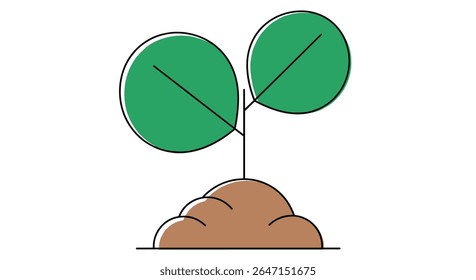 Plantando Sementes Cultivando Crescimento Terra Verde