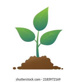 Planting sprouts. Seedling icon vector illustration isolated on white background.