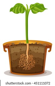 Planting tree in the clay pot illustration