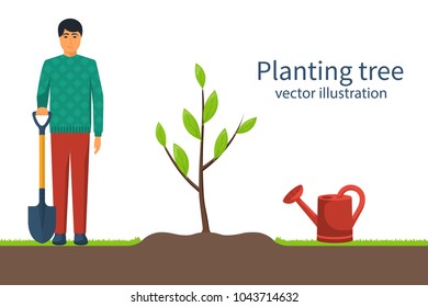 Planting tree. Gardener with shovel in hand. Process planting concept. Gardening, agriculture, caring for environment. Vector illustration flat design. Young sapling.