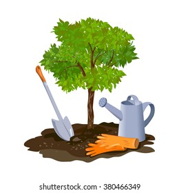 planting a tree in the ground. vector illustration