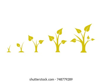 Planting tree. Tree growth diagram with green leaf, nature plant. Seedling agriculture. The process of plant growth.